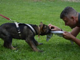 01.07.2023 offenes training 44